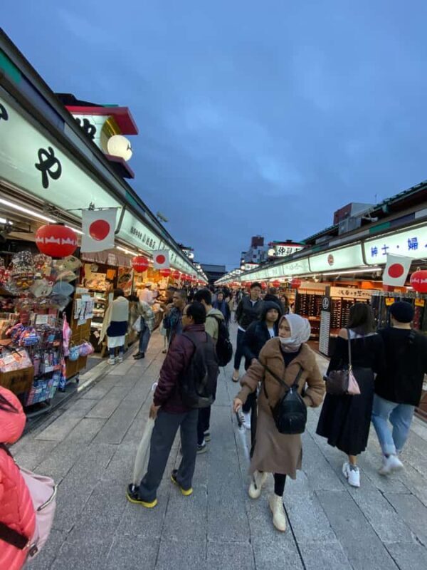 Tokyocity day tour with english speaking guide,hotel pick up - An Overview of the Tour Experience