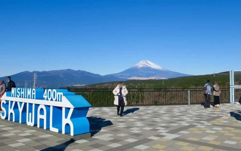 Tokyo:Customizable Private Day Trip to Mt.Fuji & Safari Park - Introduction: Why Choose a Private Day Trip to Mount Fuji?