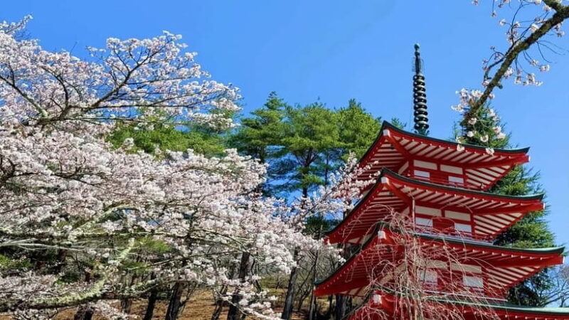 Tokyo:Fuji-Kawagu Cable Car (Ticket Inc.) Shinkurayama&Panos - Who Will Love This Tour?