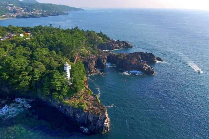 Tokyo:Izu Penisula Train Mt Omuro, Capybara Sightseeing Trip - Who Would Love This Experience?