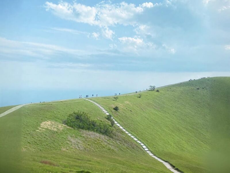 Tokyo:Izu Penisula Train Mt Omuro, Capybara Sightseeing Trip - FAQs