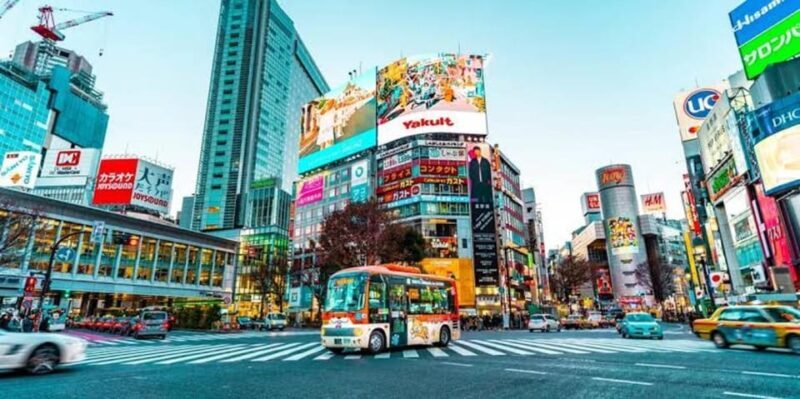 Tokyo:Luxury Private Tour with English-Speaking driver - Exploring Tokyo with a Private Luxury Tour: An Honest Review