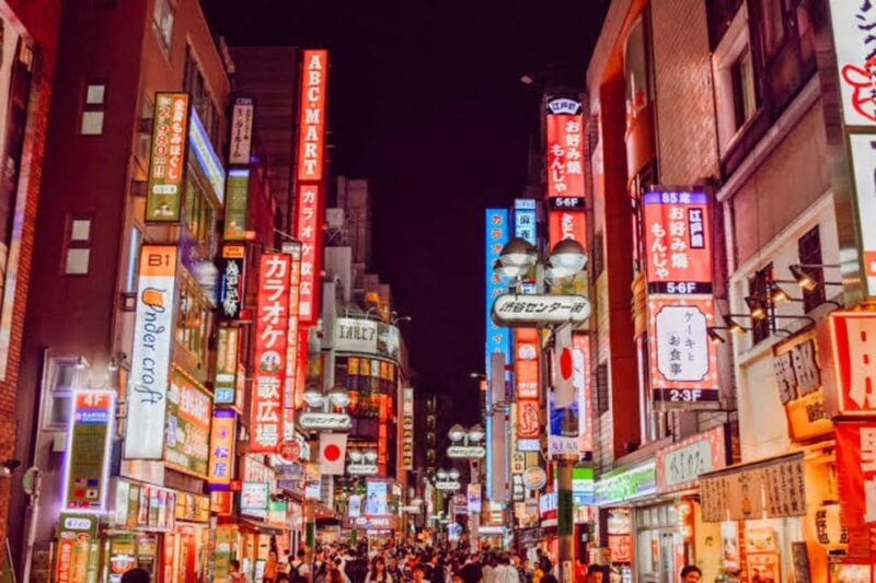 Tokyo:Luxury Private Tour with English-Speaking driver - The Practicalities and What They Mean