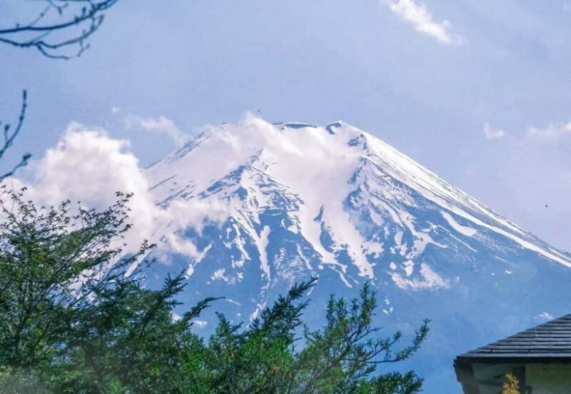 Tokyo:Mt. Fuji 5th Station&Onsen Day Trip | Seasonal Special - Key Points