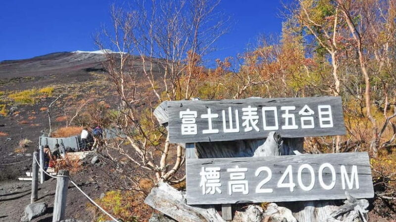 Tokyo:Mt. Fuji 5th Station&Onsen Day Trip | Seasonal Special - A Detailed Look at the Tour