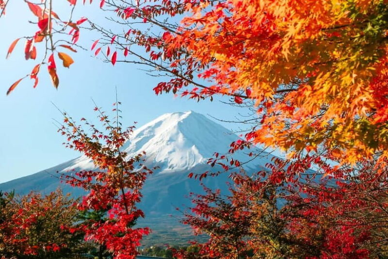 Tokyo:Mt.Fuji 5th Station,Oshino Hakkai&Kawaguchiko Day Tour - Who Is This Tour Best Suited For?