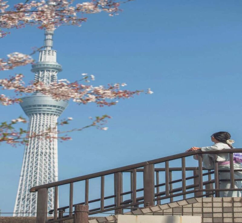 Tokyo:Private Custom Tour History, Art & Iconic Landmarks - An Impressive Mix of Art, History, and Modernity