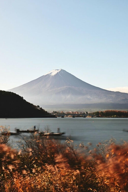 Tokyo:Private Tour to Mount. Fuji + Hakone W/ Driver - Who Should Consider This Tour?
