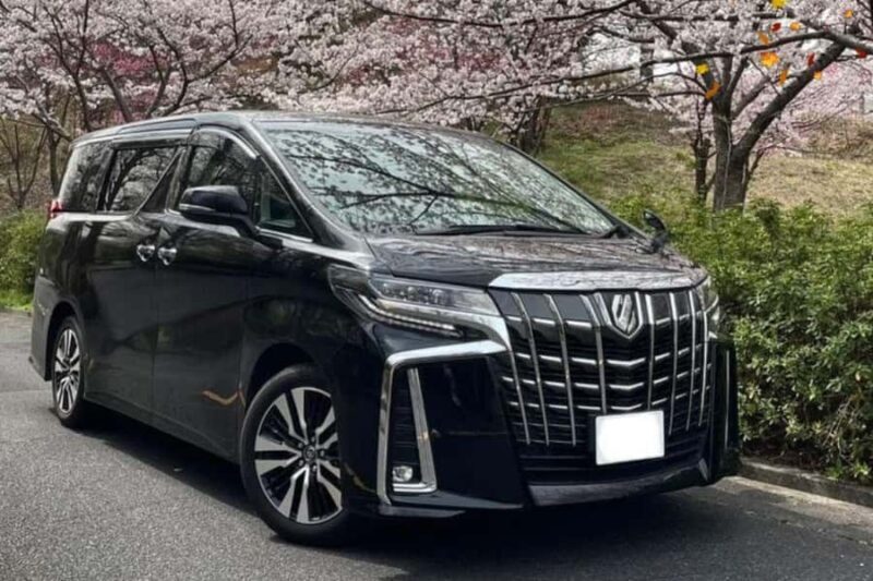 Tokyo's Contrasts: 9-Hour Guided Cultural Journey - Key Points