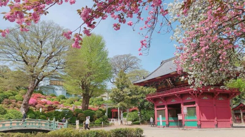 Tokyos last surviving old-town district: Yanaka Ginza Walk - Who Will Love This Experience?
