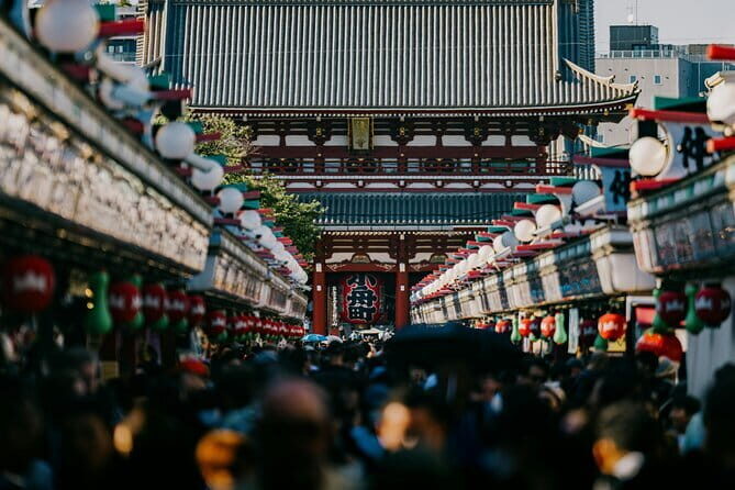 Tokyo's Private Tour : From Ancient Temples to modern tokyo - A Closer Look at the Itinerary