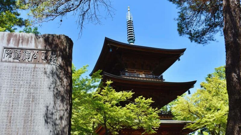 Tokyo's Shibuya On Foot, With Hachiko & the Lucky Cat Temple - Key Points