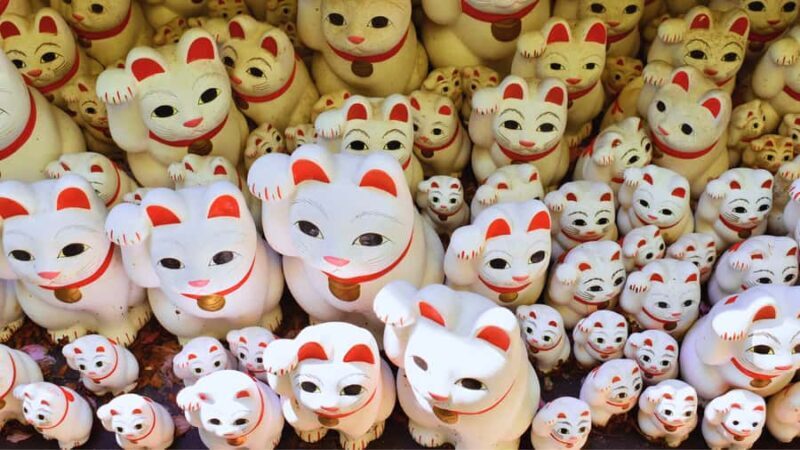 Tokyo's Shibuya On Foot, With Hachiko & the Lucky Cat Temple - Practical Details and Value