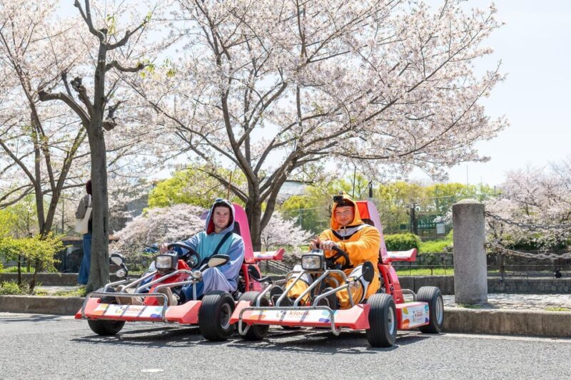 TokyoShibuya Go Karting Tour in Shibuya - The Sum Up