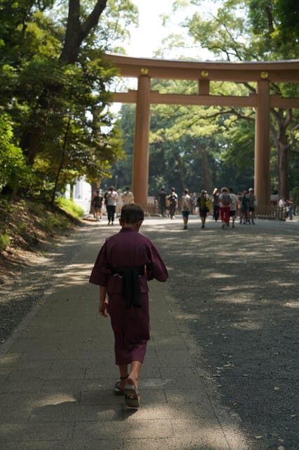 :Tokyo,Shibuya /Meiji Shrine tour in KIMONO/English-friendly - Who Is This Tour Best Suited For?