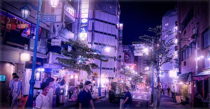 Tokyo:Shinjuku Ni-chome LGBTQ+ Local Bar Hopping Tour - What Is the Shinjuku Ni-chome LGBTQ+ Bar Hopping Tour?