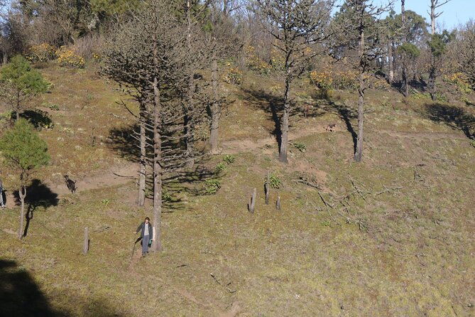 toliman-volcano-hike