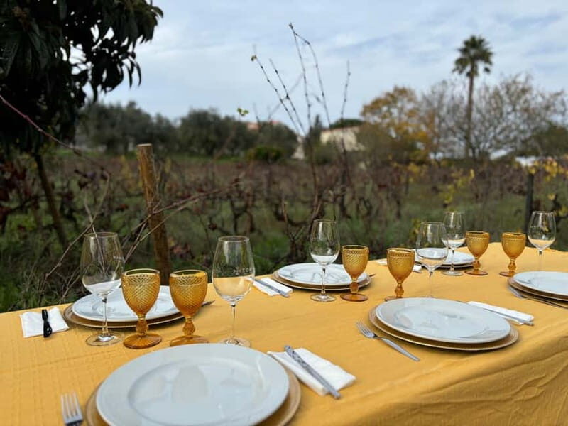 Tomar: Lunch among the vineyards - Exploring Tomar’s “Lunch among the Vineyards”: A Balanced Look at an Authentic Portuguese Experience