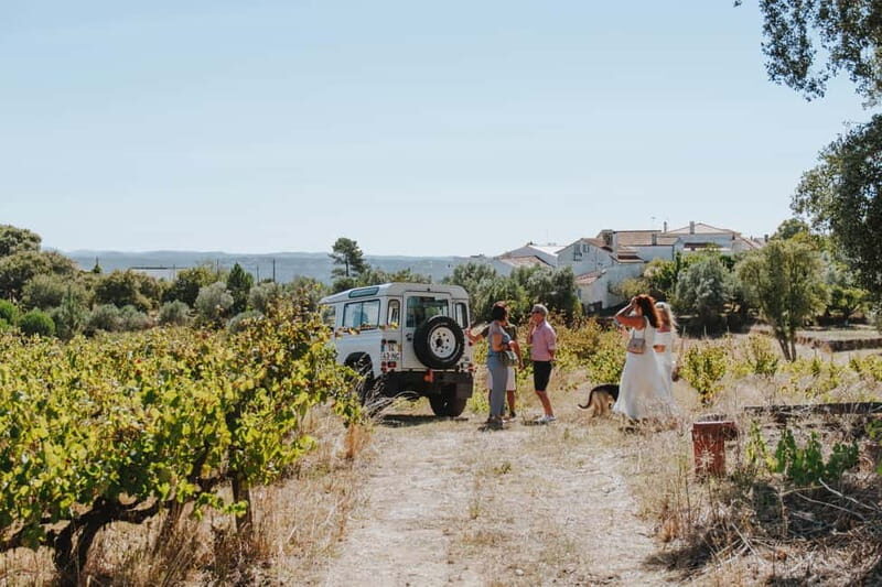 Tomar: Vineyard Tour with Tastings - Key Points