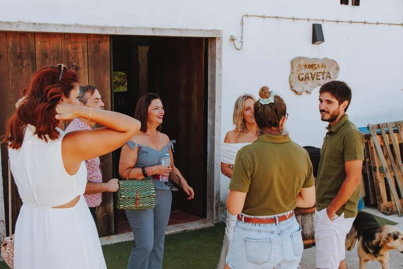 Tomar: Vineyard Tour with Tastings - Practical Details and Booking