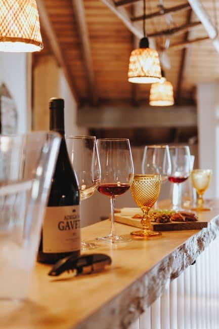 Tomar: Wine Tasting with Vinotherapy - Introduction