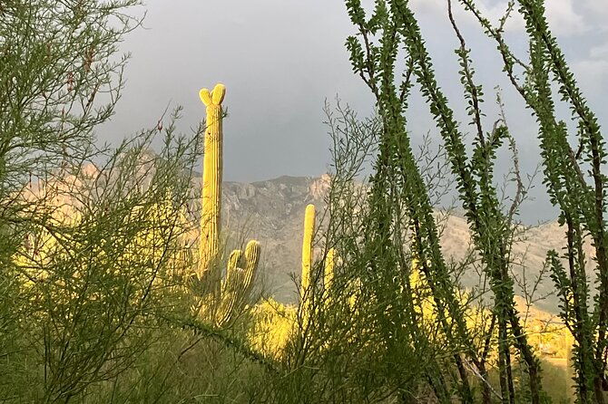 tombstone-san-xavier-how-the-west-was-won