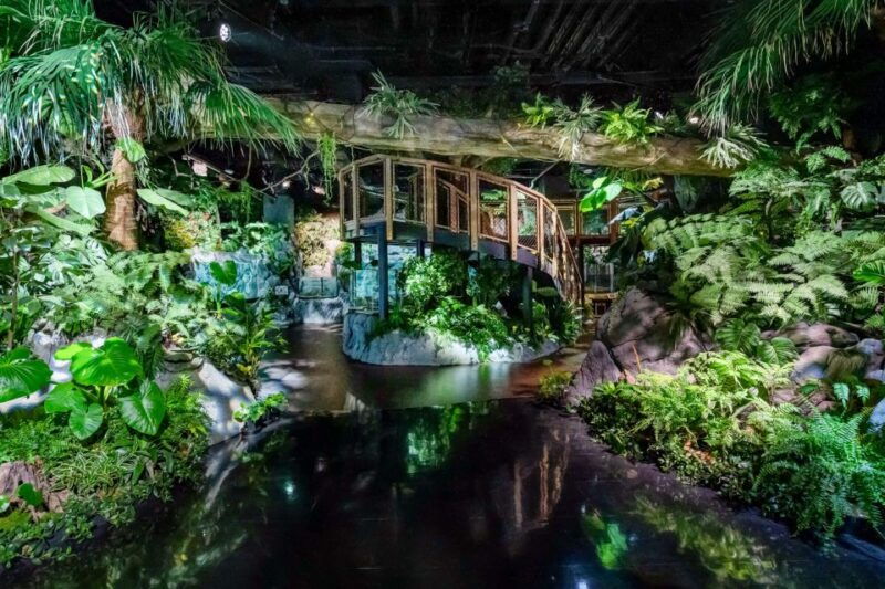 tomigusuku-dmm-kariyushi-aquarium-admission
