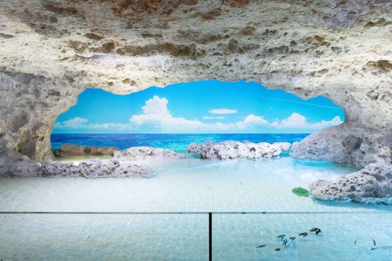 tomigusuku-dmm-kariyushi-aquarium-admission