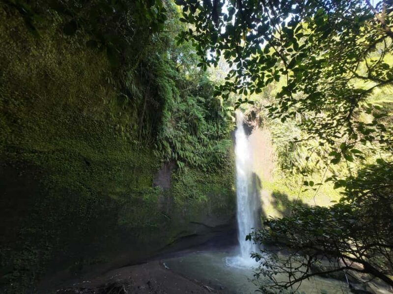 Tomohon: Minahasa Culture and Nature tour with Local Guide - The Itinerary in Detail: What to Expect