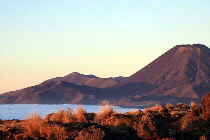 Tongariro Alpine Crossing One-Way Ketetahi Only Private Carpark - Why Choose the Tongariro Alpine Crossing One-Way Shuttle?