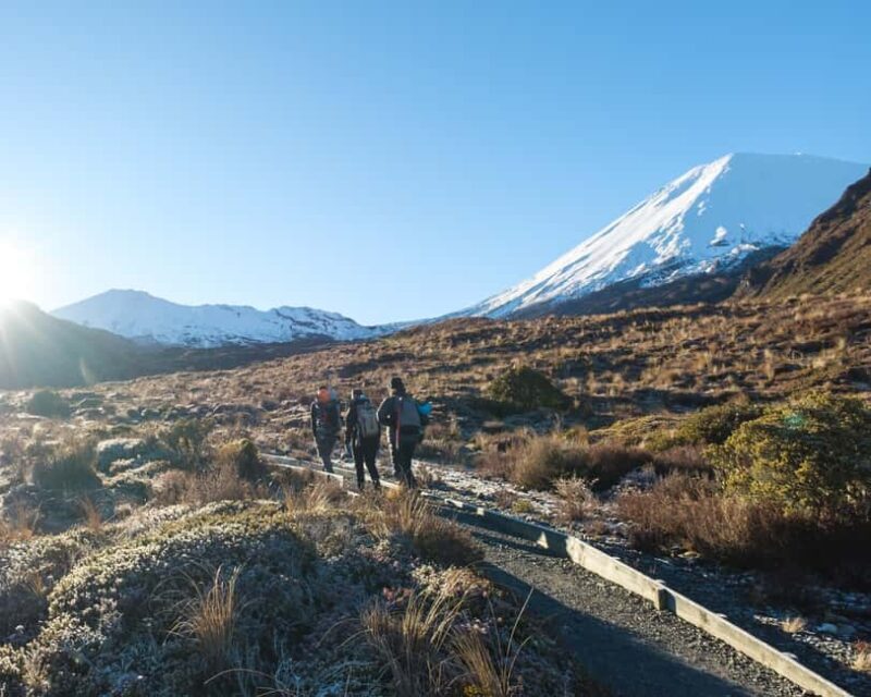 Tongariro Alpine Crossing: Premium Guided Hike - Overview and What You Get