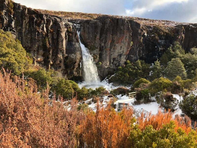 Tongariro National Park: Pre-Sunset Guided Walking Tour - What to Expect from the Walk