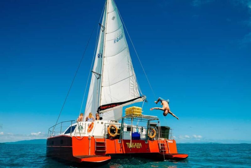Tongarra: All-Inclusive Day Sail - Wrapping It Up