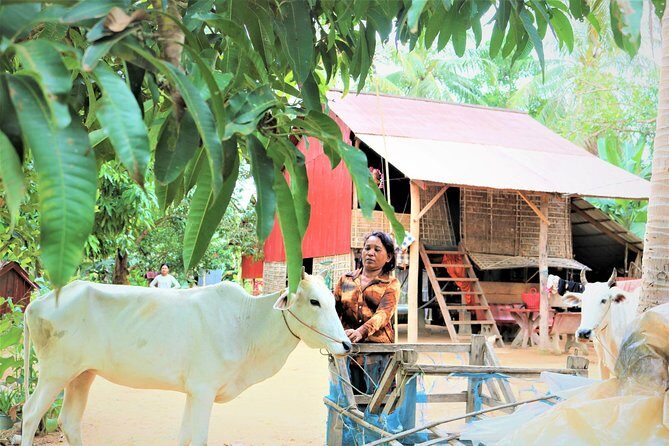 Tonle Sap Lake - Fishing Village & Flooded Forest - Final Thoughts