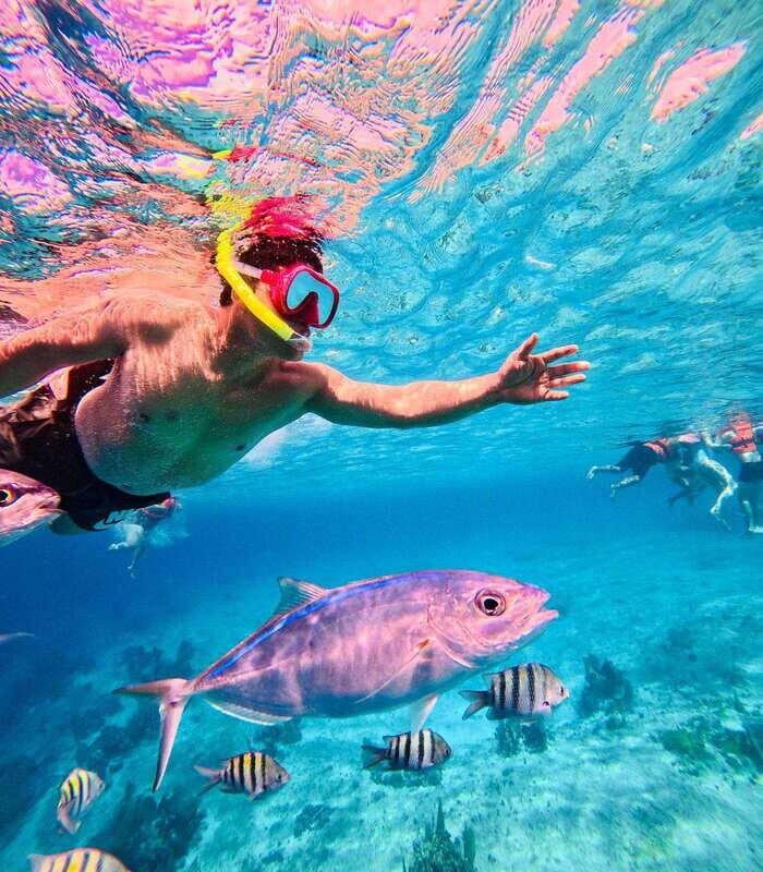 Top Experience: Snorkel & Beach Club All-Inclusive / Open Bar & Lunch - Key Points