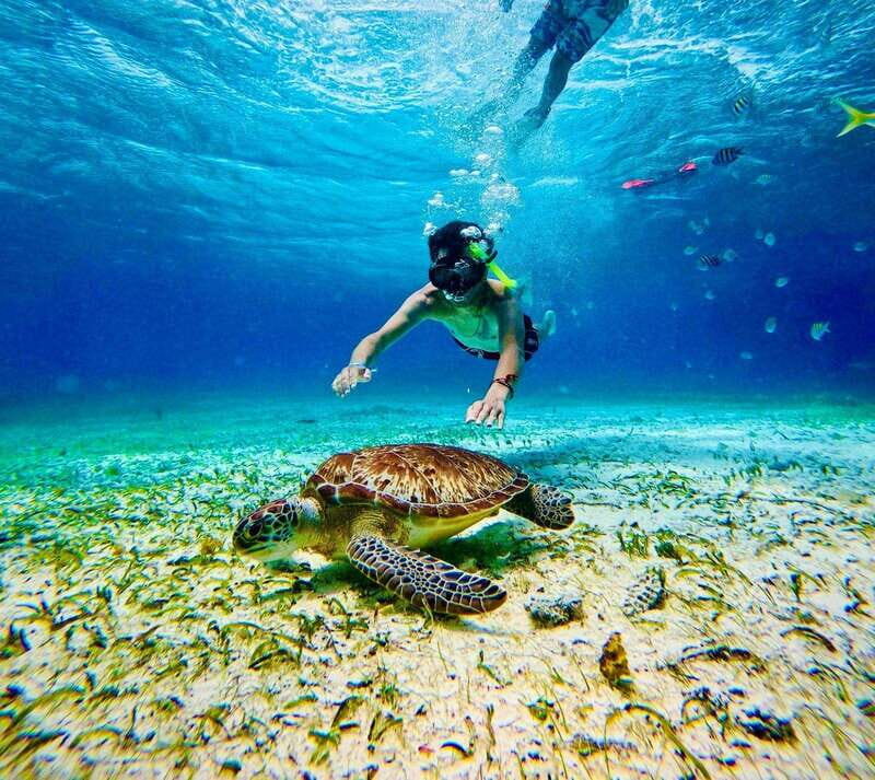 Top Experience: Snorkel & Beach Club All-Inclusive / Open Bar & Lunch - An Introduction to the Costa Maya Snorkeling & Beach Club Tour