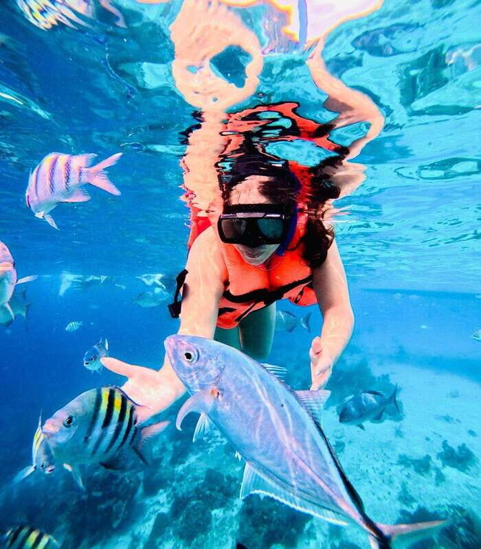 Top Experience: Snorkel & Beach Club All-Inclusive / Open Bar & Lunch - The Itinerary in Detail