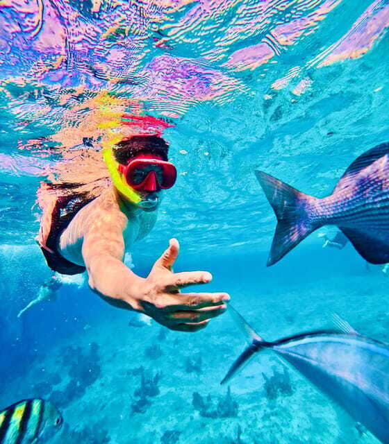 Top Experience: Snorkel & Beach Club All-Inclusive / Open Bar & Lunch - Who Is This Tour Best For?