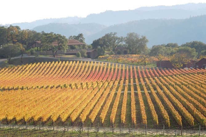 top-notch-napa-valley-private-custom-tour