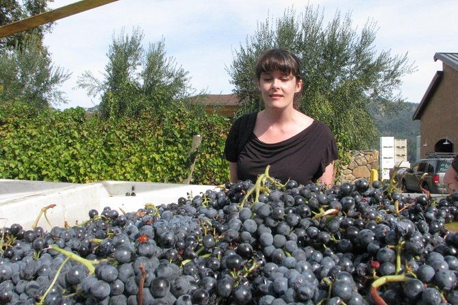 top-notch-napa-valley-private-custom-tour