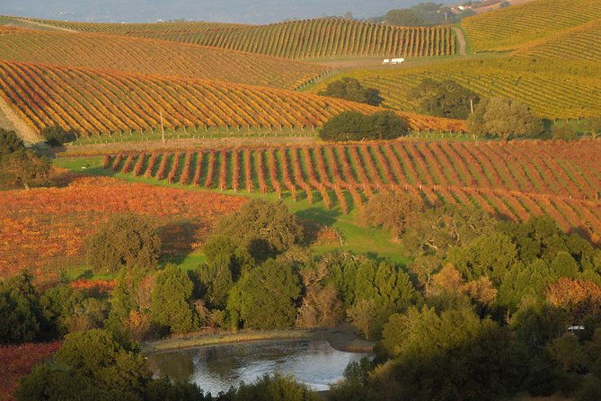 top-notch-napa-valley-private-custom-tour