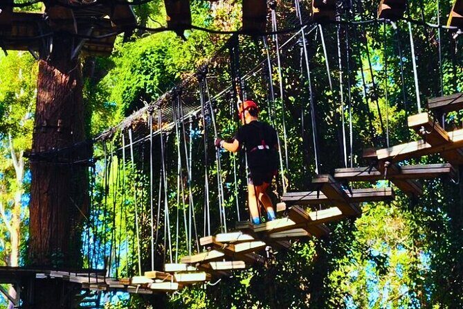 Top Rated Atlas Mountains Zipline from Marrakesh - Final Thoughts: Why This Tour Stands Out