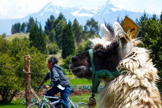 top-ten-wonders-of-ecuador-tour-from-quito-end-in-cuenca