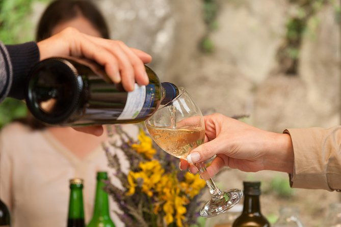 top-truffles-wine-hunting-tasting-in-istria-slovenia