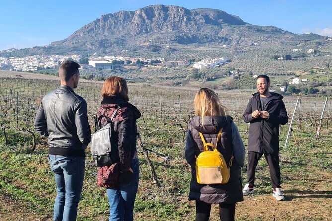 top-wine-tour-vineyard-cellar-visit-6-top-wines-tapas