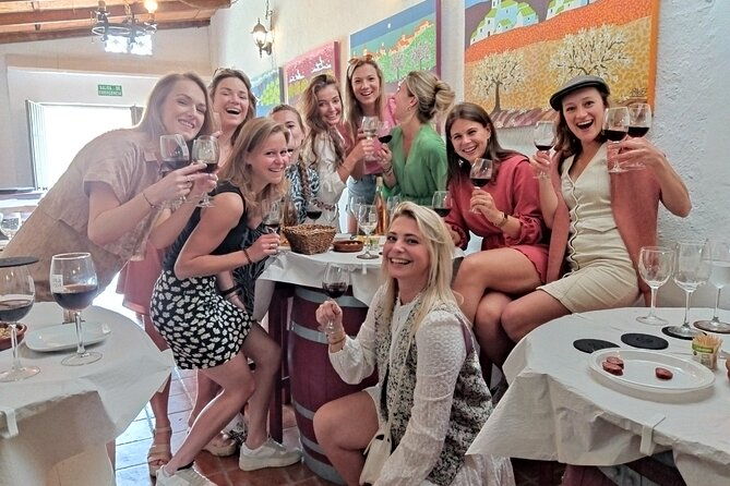 top-wine-tour-vineyard-cellar-visit-6-top-wines-tapas