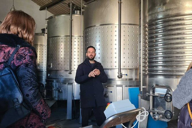 top-wine-tour-vineyard-cellar-visit-6-top-wines-tapas