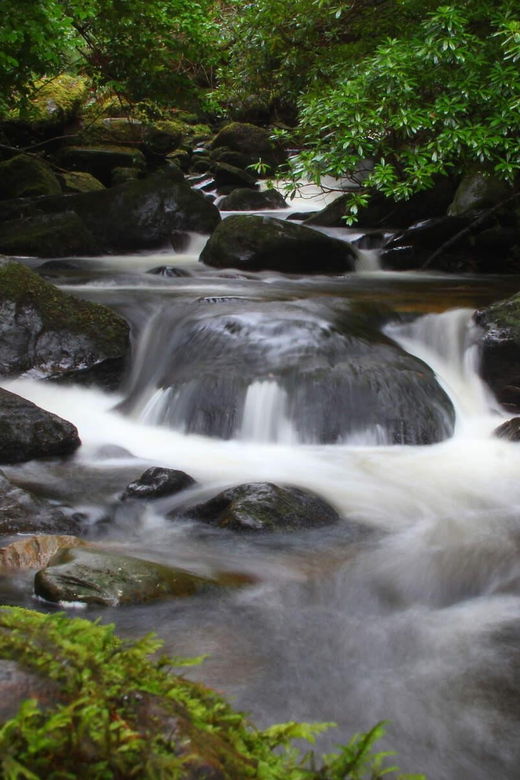 torc-waterfall-mountain-hike-kerry-private-guided