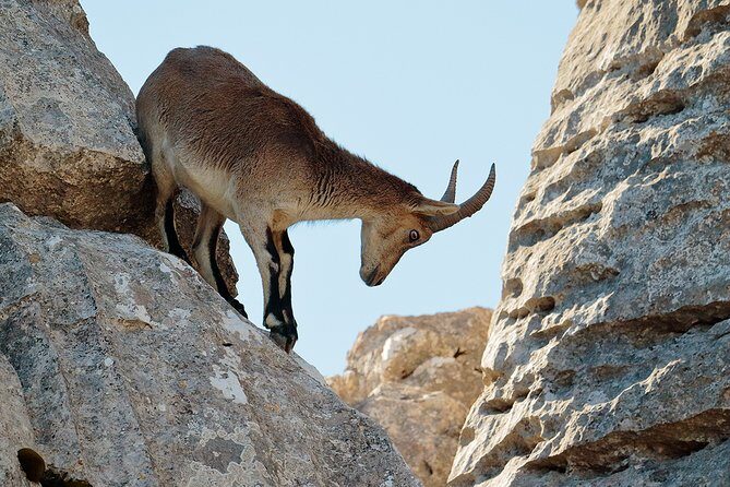 Torcal de Antequera Hiking Tour from Málaga - The Itinerary in Detail