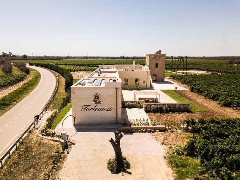 TORLEANZI: wine tour and tasting at winery in Torre San Gennaro - Exploring the Torleanzi Wine Tour in Torre San Gennaro: An Authentic Taste of Salento